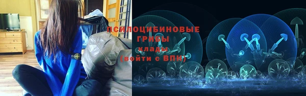 СК Балахна