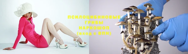 СК Балахна
