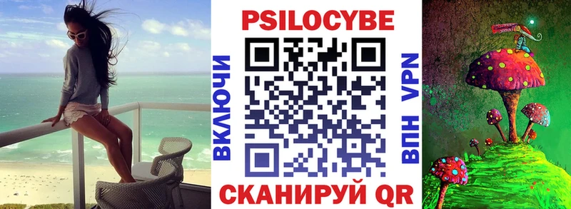 Купить Гаврилов Посад Галлюциногенные грибы MAGIC MUSHROOMS