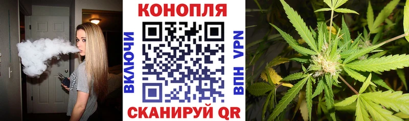 Конопля гибрид  Купить где  Гаврилов Посад 